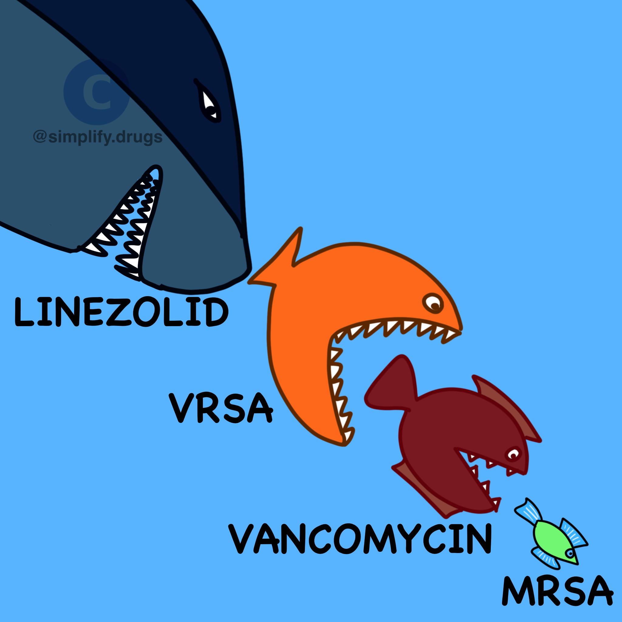 MRSA vs Antibiotics: The Rise of a superbugy