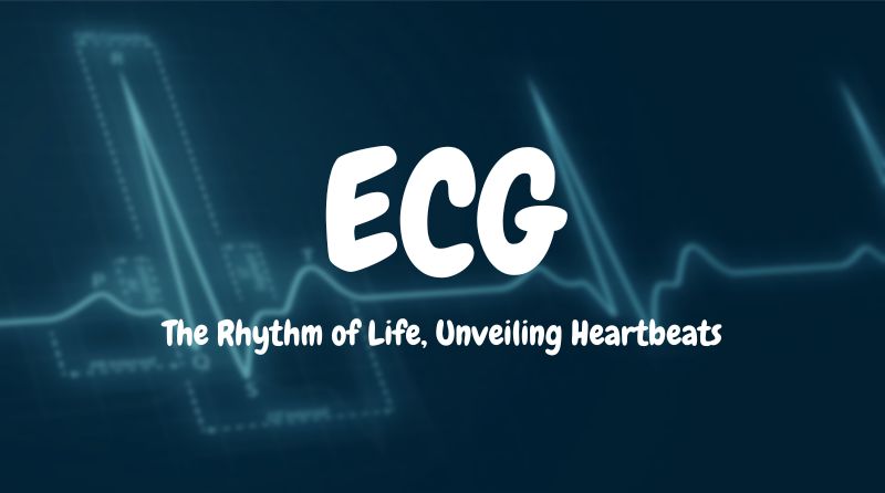 ECG: Learn to Read the language of heart!